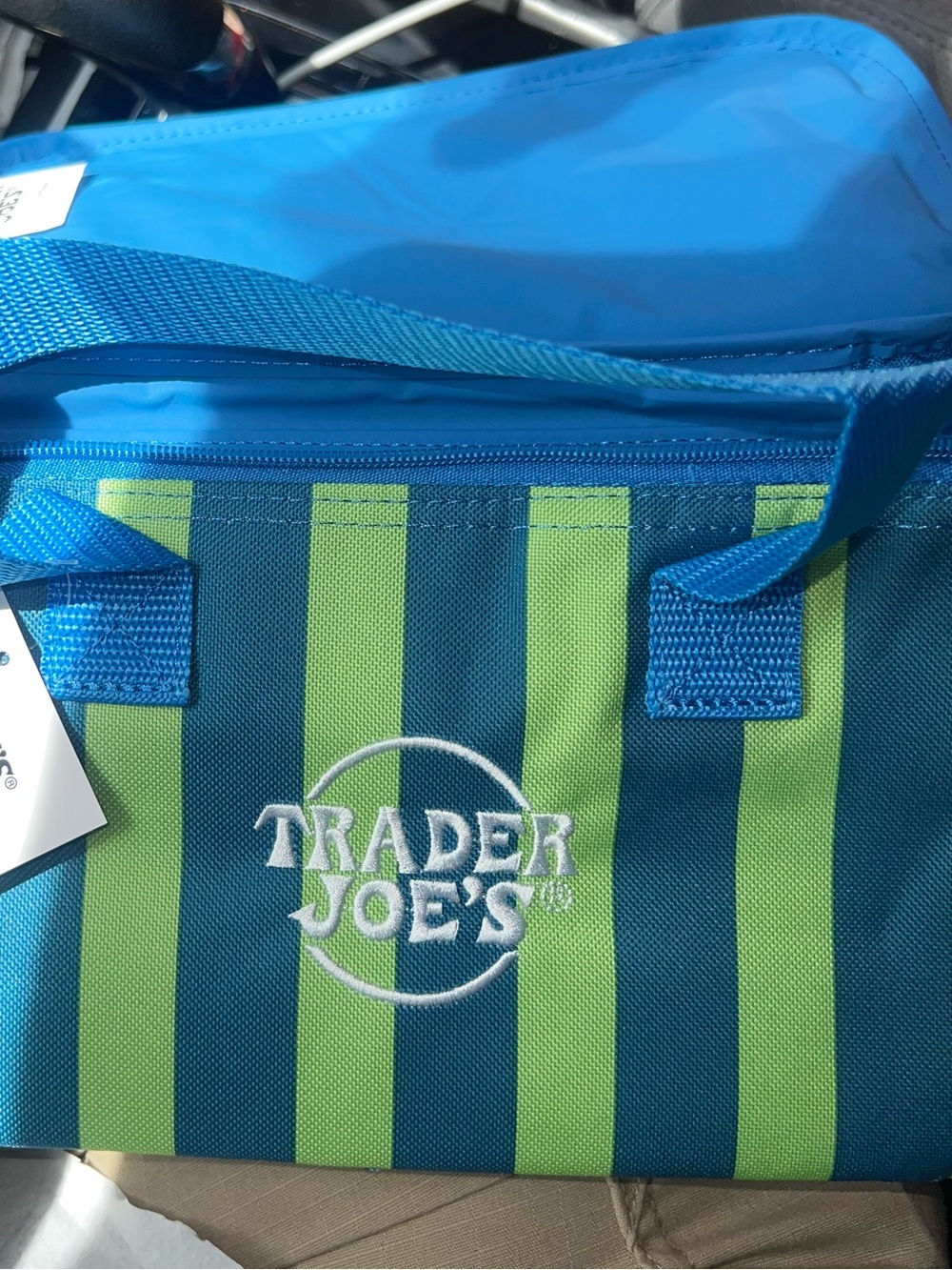 Trader Joe's Blue & Green Striped Insulated Tote